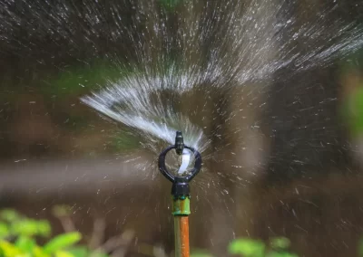 Lawn Irrigation Contractor