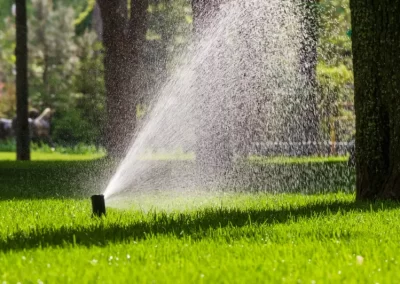 Reputable Irrigation Pump Installation