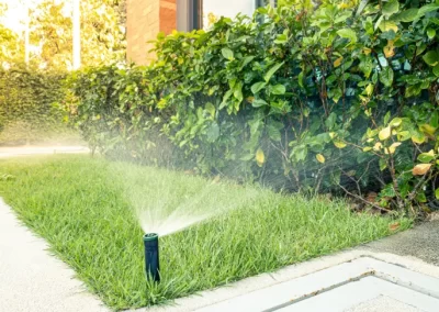 Reputable Lawn Irrigation