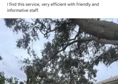 Reviews